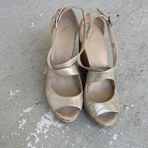 Brian Atwood Delisa platforms